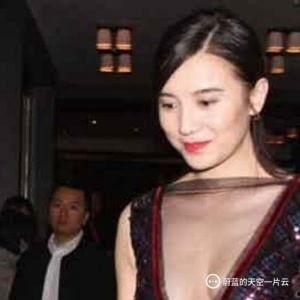 宋佳不雅视频,真相与争议