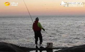 台钓视频高清,技巧与魅力尽收眼底