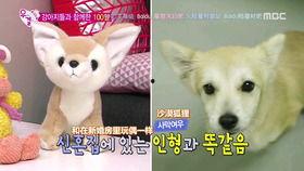 前婚试爱吻戏视频,甜蜜吻戏瞬间，情感升温引期待