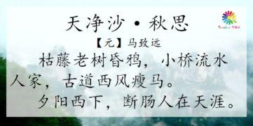 天净沙秋思朗读视频,千古离愁尽在此曲