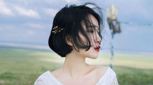 日本高清视频网站www,www的精彩世界