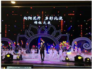 向阳花开舞蹈视频,舞蹈视频魅力赏析