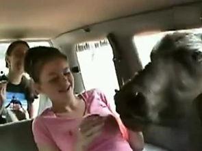 强吻舔胸视频短片,揭秘强吻舔胸视频短片背后的秘密