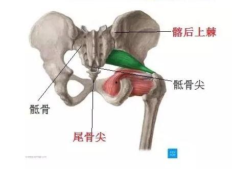 女士骨盆正骨视频,轻松掌握骨盆健康恢复之道