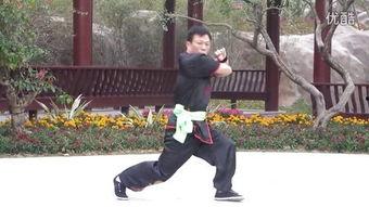 太祖拳视频,传统武术的精髓与传承