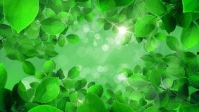 绿色背景视频素材