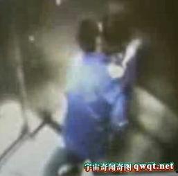 沙滩活春视频实拍,活春盎然，夏日海滩风情录