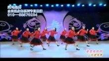 杨艺广场舞视频大全,舞动健康，乐享生活