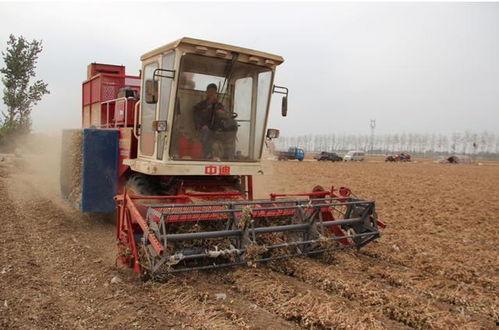 花生联合收获机视频